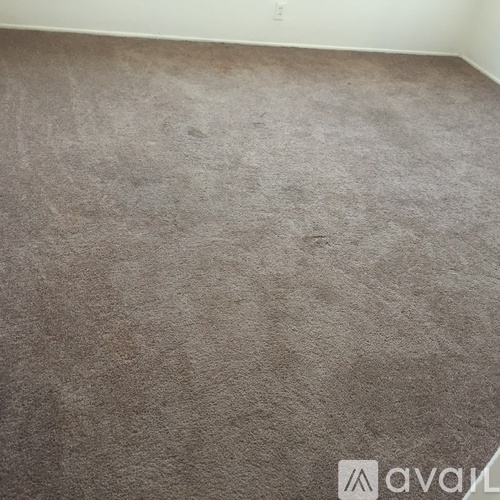 A room with a carpeted floor and a white wall.