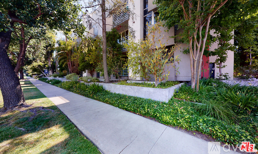 A tree-lined sidewalk in front of a building.
