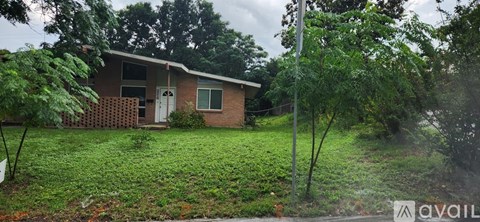 A backyard with a wooden fence and a shed.