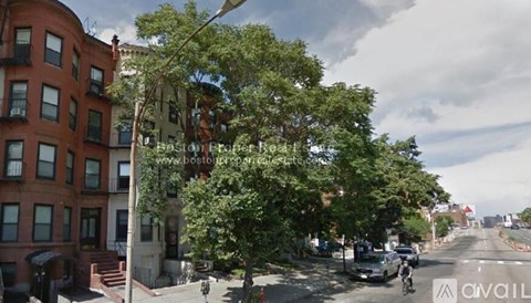 A street view with a tree in the middle and buildings on both sides.