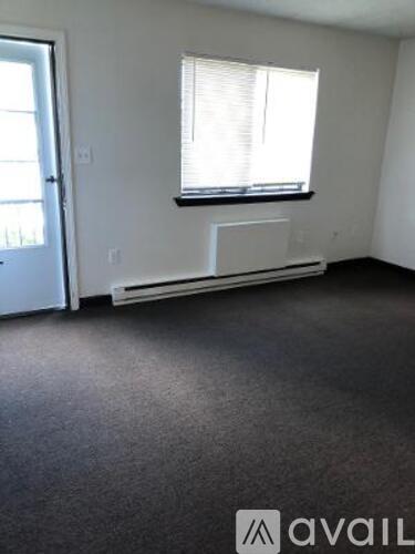 A room with a window and a radiator on the wall.
