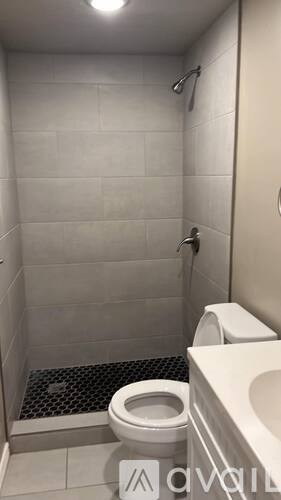 A white toilet in a small bathroom with a walk-in shower.
