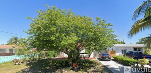 A tree in a yard with a house in the background and a car parked in the driveway.