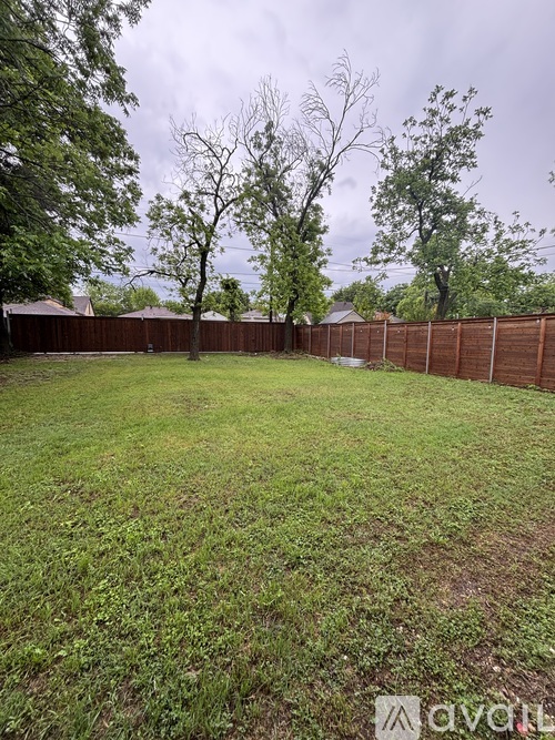 A backyard with a fence and trees.