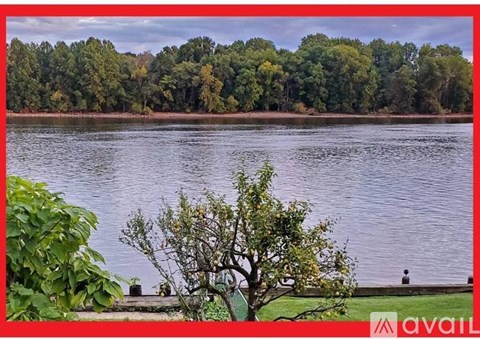 A tree with green leaves is in the foreground of a body of water with a forest in the background.