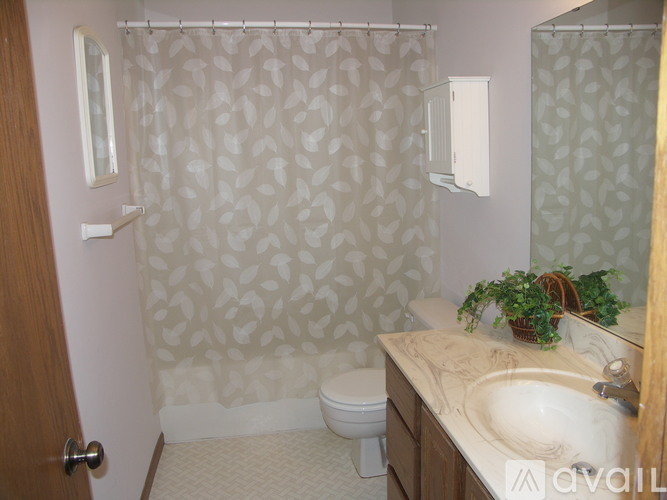 A bathroom with a toilet, sink, and shower curtain.
