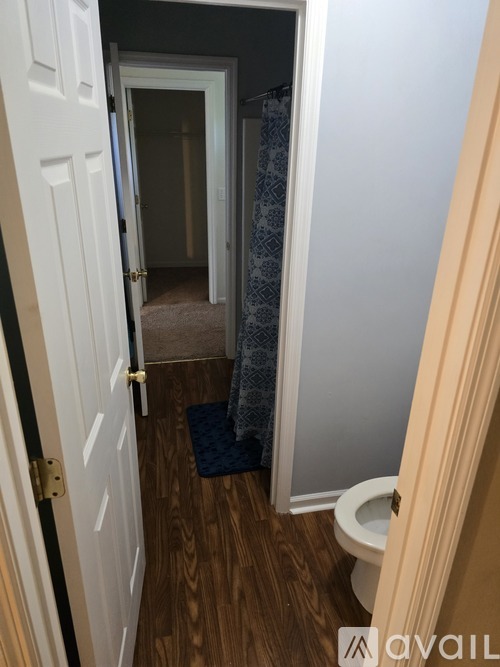 A bathroom with a toilet and a shower curtain.