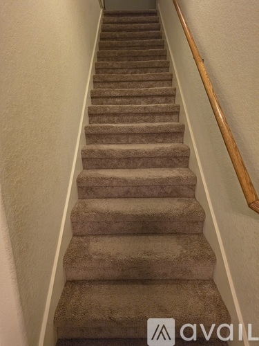 A staircase with a wooden handrail and beige carpeted steps.