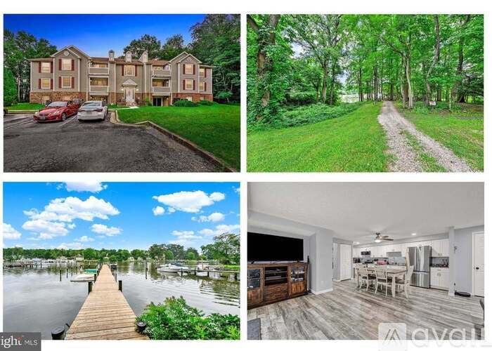 A collage of images showing a house, a forest path, a lake dock, and a living room.