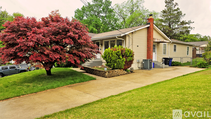 A house with a red tree in front of it.