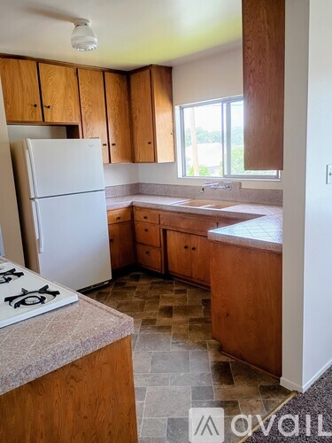 A kitchen with wooden cabinets and a white fridge.