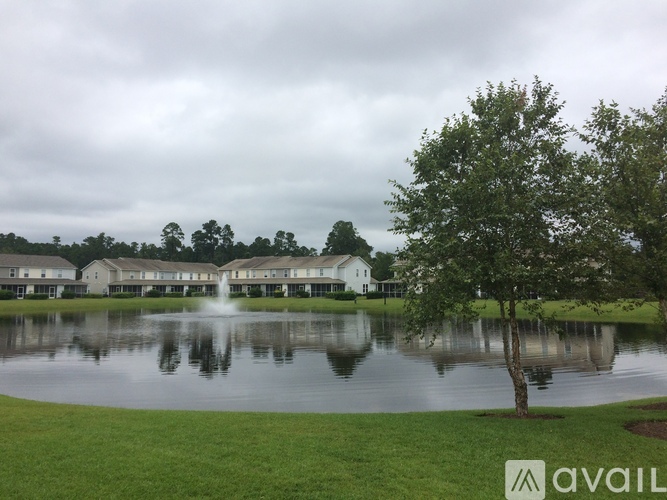 A tree stands in front of a lake with houses in the background.