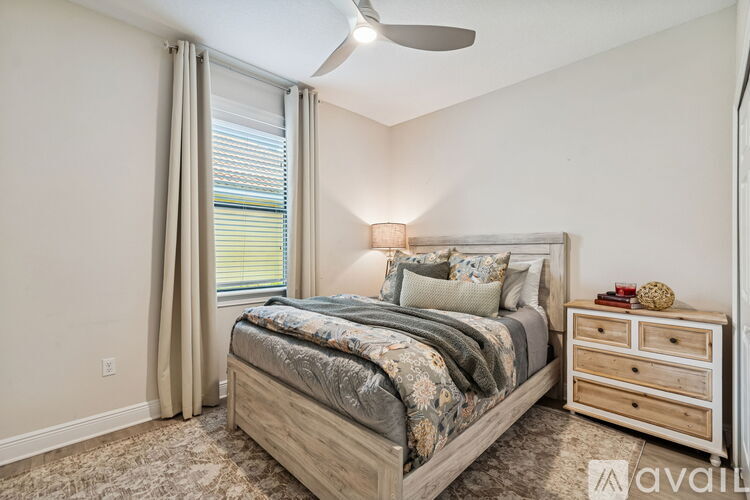 A bedroom with a large bed, a ceiling fan, and a nightstand with a lamp.
