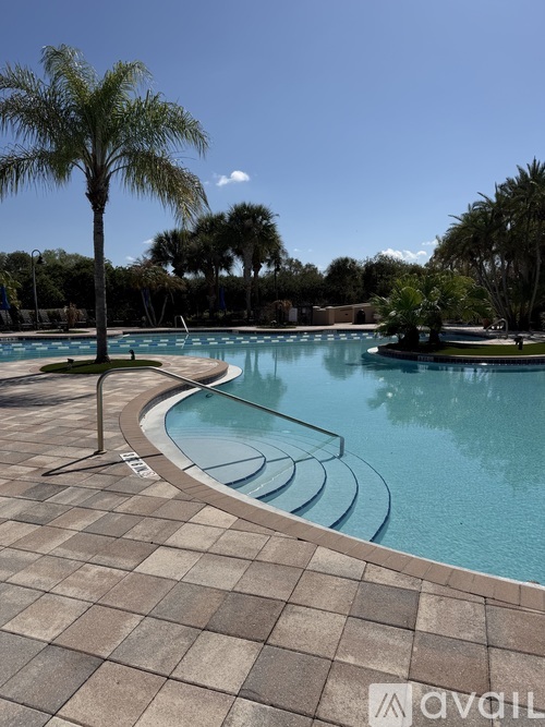 A pool surrounded by palm trees and a clear blue sky.