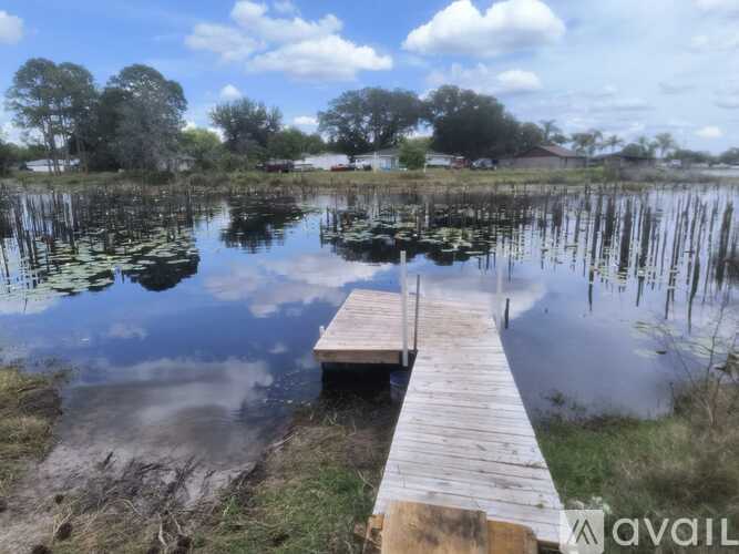 A wooden dock extends into a calm body of water with lily pads and trees in the background.