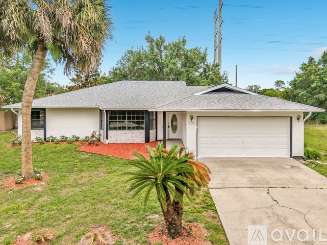 A house with a red carpet in front and a palm tree to the left.