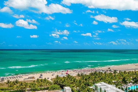 A beach with palm trees and a clear blue sky.