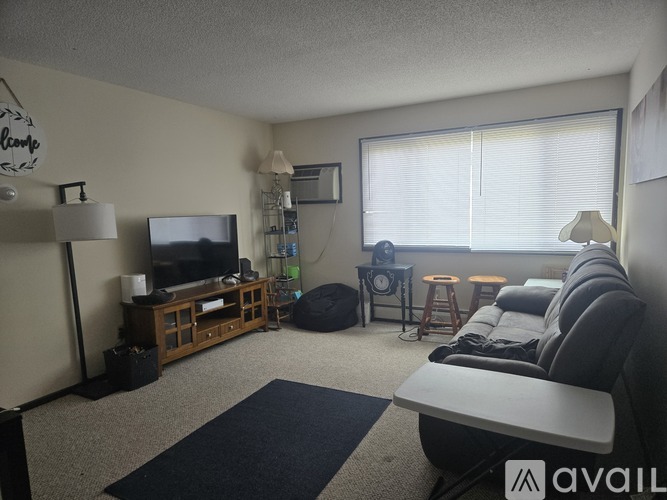 A living room with a couch, a television, and a rug.