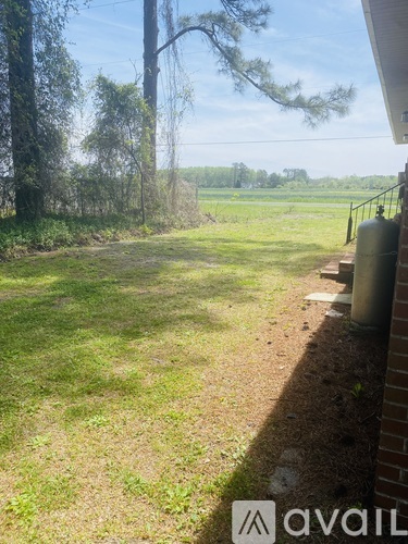 A backyard with a grassy area and a tree.
