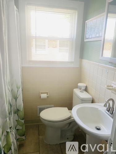 A bathroom with a toilet, sink, and shower curtain.