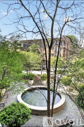 A tree stands in a courtyard with a circular pool.
