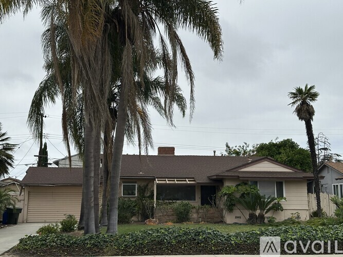 A house with a palm tree in front of it.
