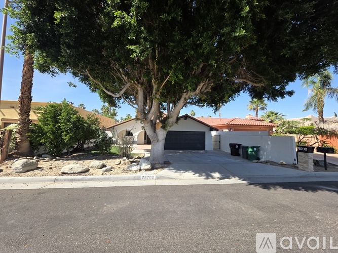 A tree in front of a house with a driveway.