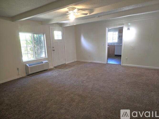 A room with a carpeted floor, a ceiling fan, and a window with a view of trees.