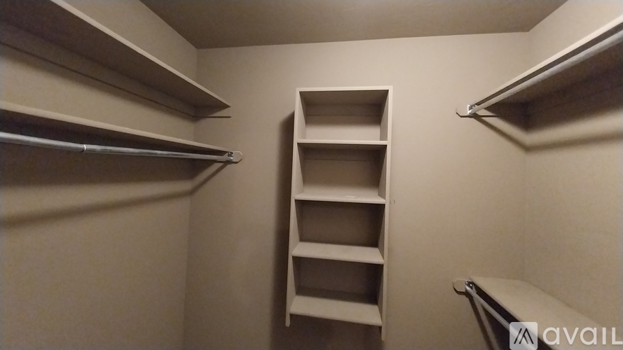 Closet with shelves and a ladder.