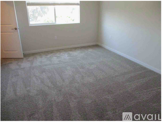 A room with a carpeted floor and a window.