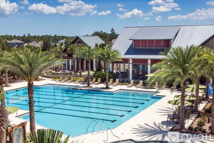 A large swimming pool surrounded by palm trees and lounge chairs.