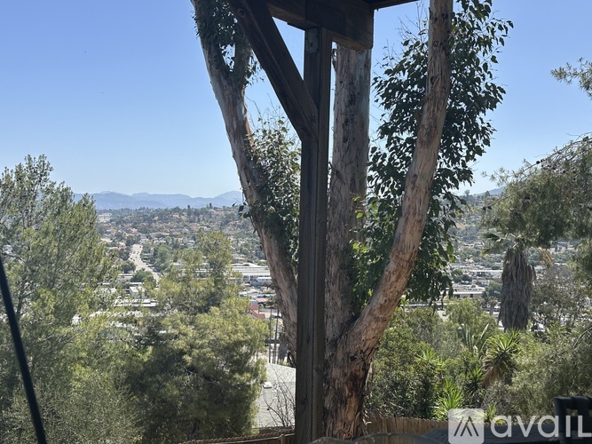 A view from a tree looking down on a town.