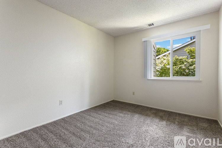 A room with a carpeted floor and a window showing a view of a house and trees outside.