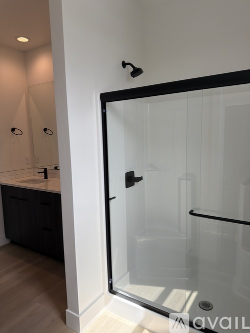 A bathroom with a walk-in shower and a sink.