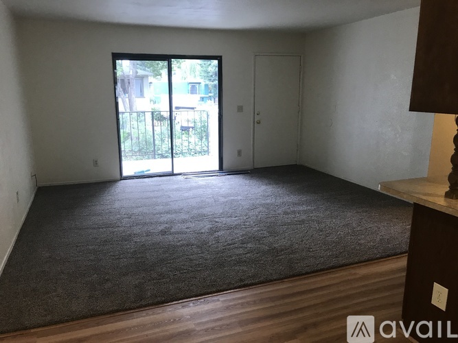 A room with a carpeted floor and a sliding glass door leading outside.