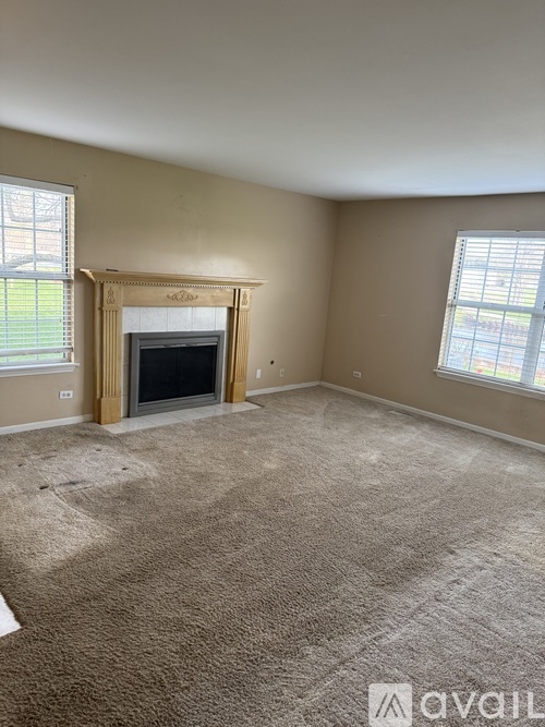 A living room with a fireplace and two windows.