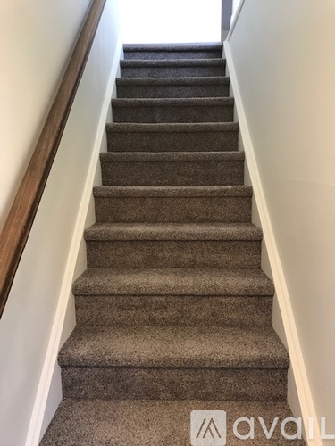 A set of stairs with a carpeted runner and wooden handrails.