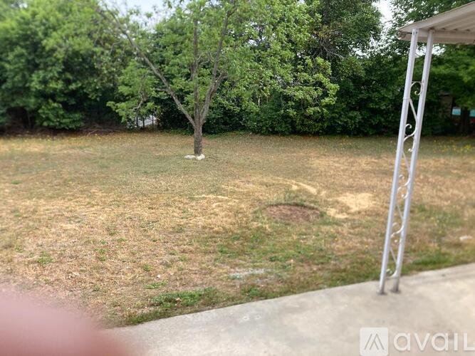 A tree stands alone in a grassy field.