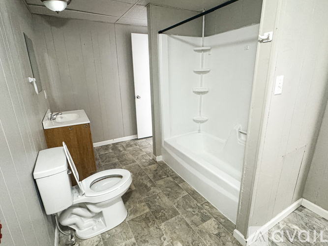 A bathroom with a toilet, sink, and walk-in shower.