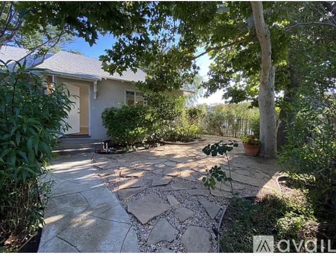 A backyard with a stone pathway and a tree.