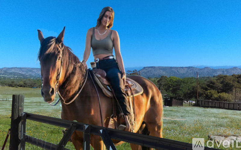 A woman is riding a horse in a field.