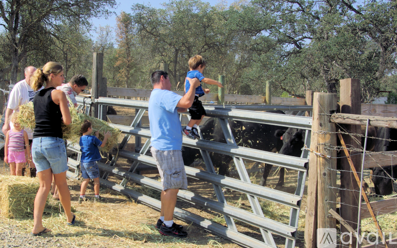 A man is petting a cow while standing on a ramp.