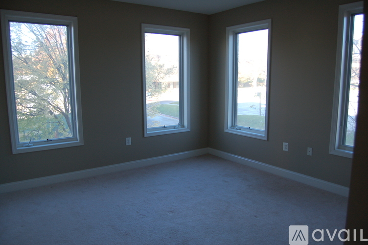 A room with three windows and a carpeted floor.