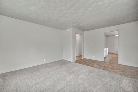 A spacious room with a carpeted floor and a ceiling with clouds painted on it.
