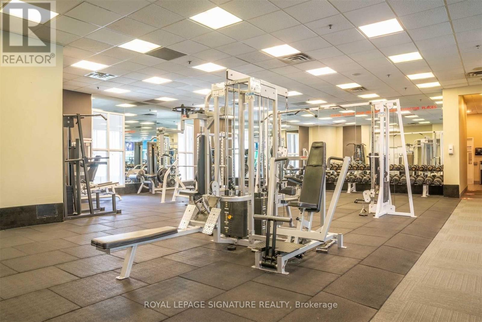 A gym with a variety of equipment including a squat rack, bench, and weights.