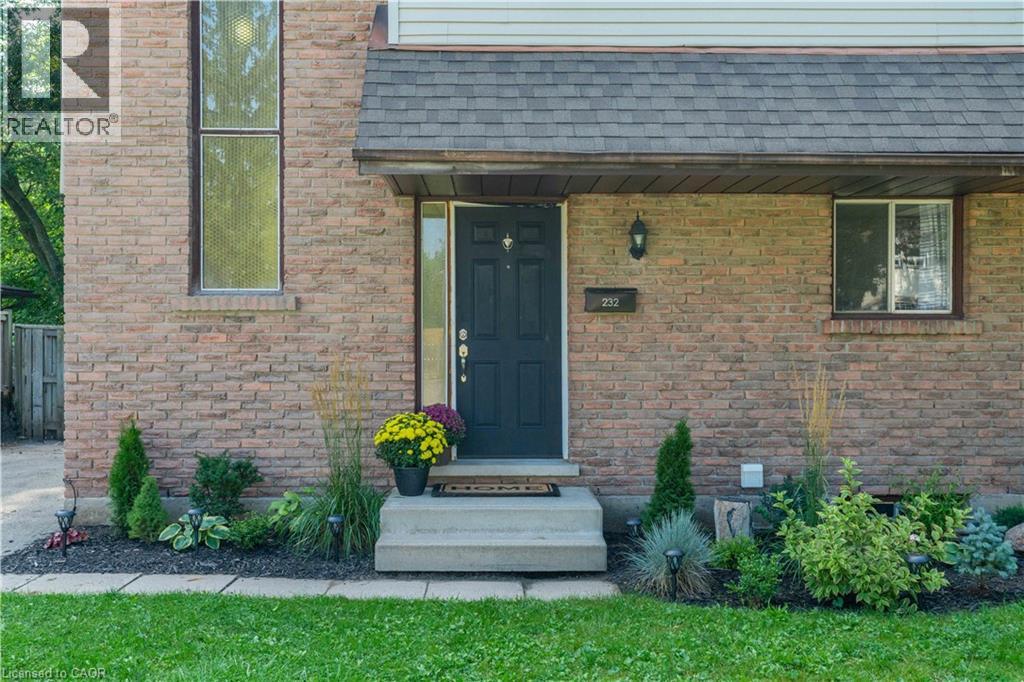 A house with a black front door and a small garden in front.