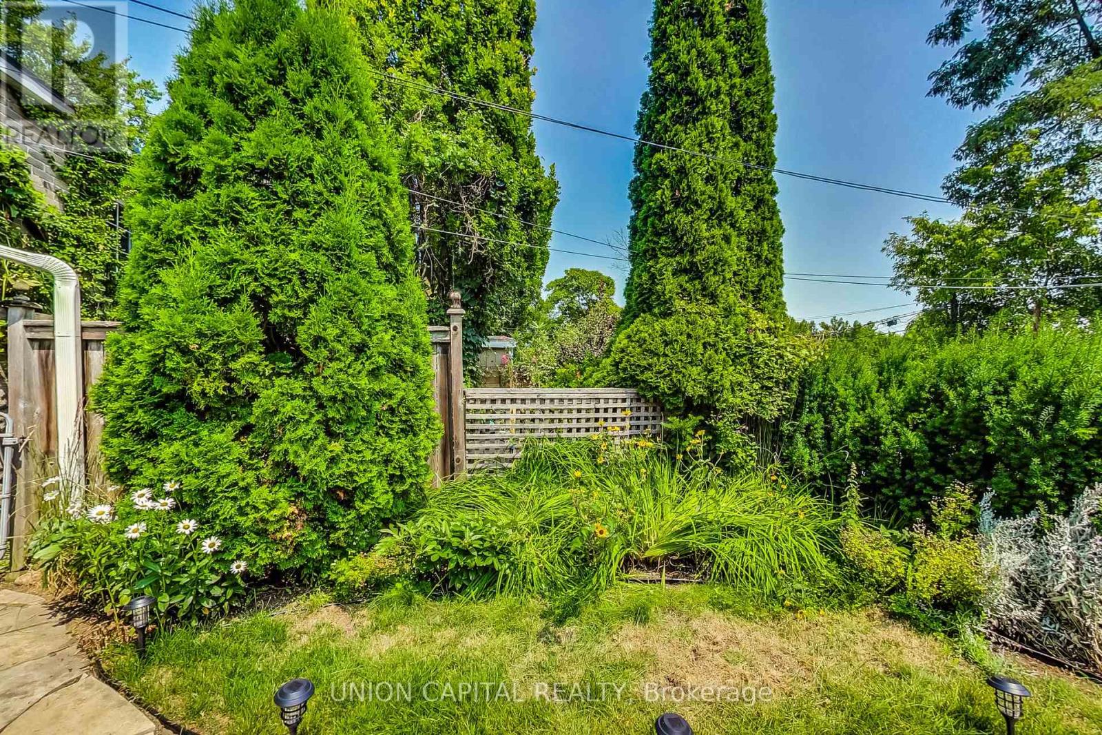 A lush garden with a variety of plants and trees.