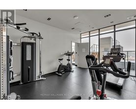 A gym with a row of treadmills and a row of weight machines.