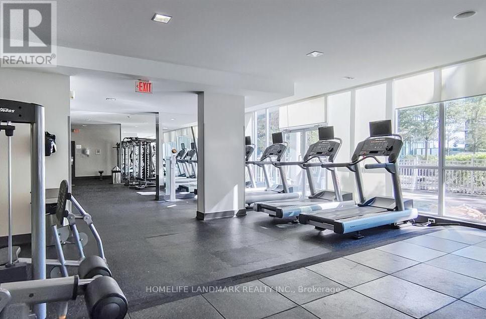 A gym with treadmills, weights and exercise machines.