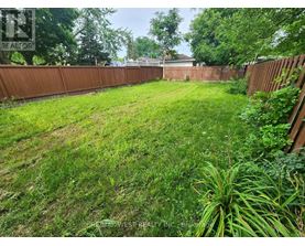 A backyard with a fence and green grass.